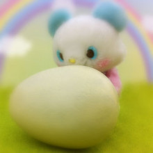 メルのブログ-たまごとぽこ