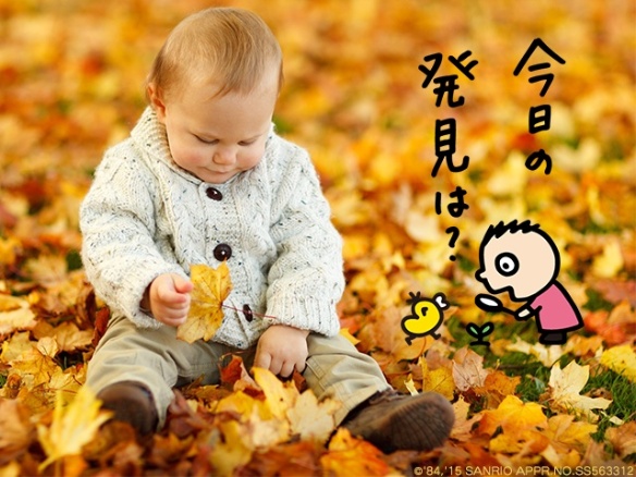 キャラ