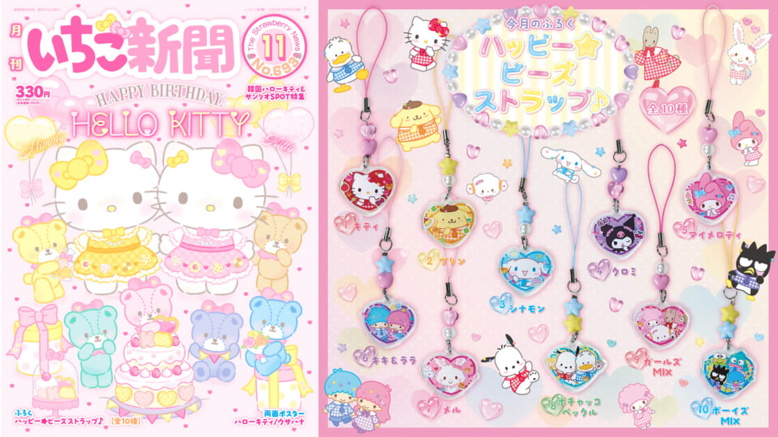 大量のいちご新聞 いちご新聞11月号 ｜サンリオ