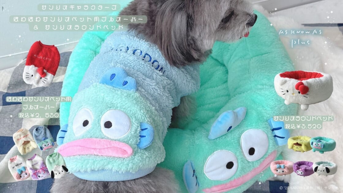 サンリオキャラクターズ×AS KNOW AS plus☆ペットグッズが登場！｜サンリオ
